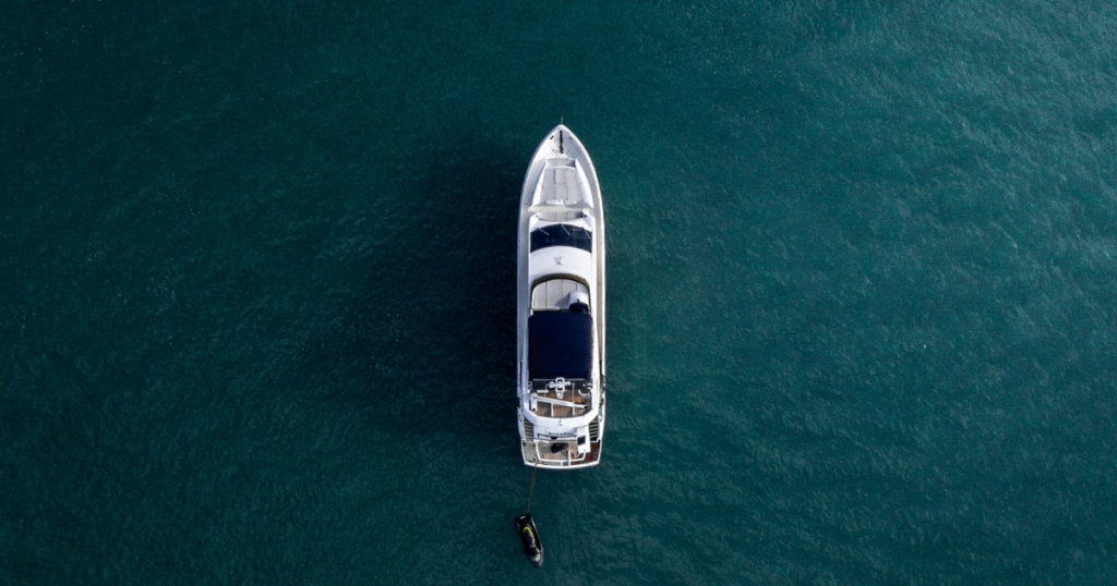 Technical Professional Branching Into Business?  Find Your Blue Ocean