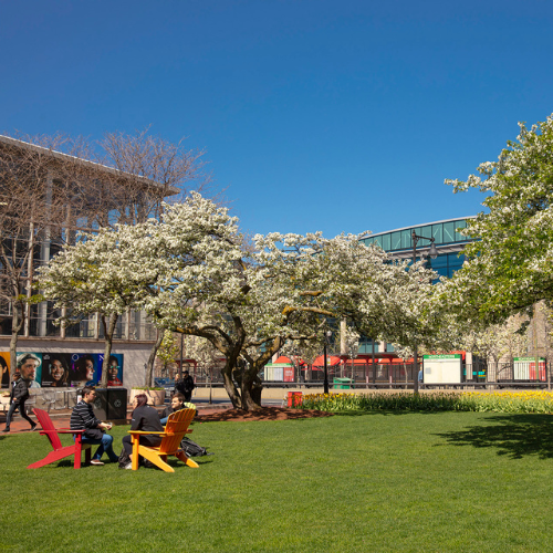 University in Boston